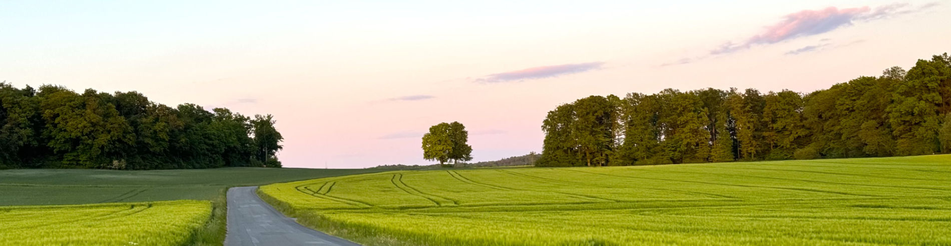 kollegieale-beratung Feld bei Sonnenuntergang