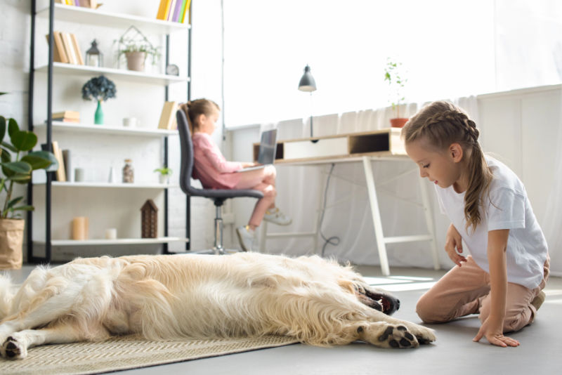 paedagogikbegleithund-teaser Kinder mit Hund im Kinderzimmer